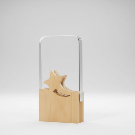 Premium Wooden Trophy Model - PT058