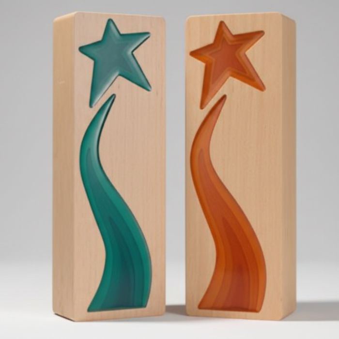 Premium Wooden Trophy Model - PT060