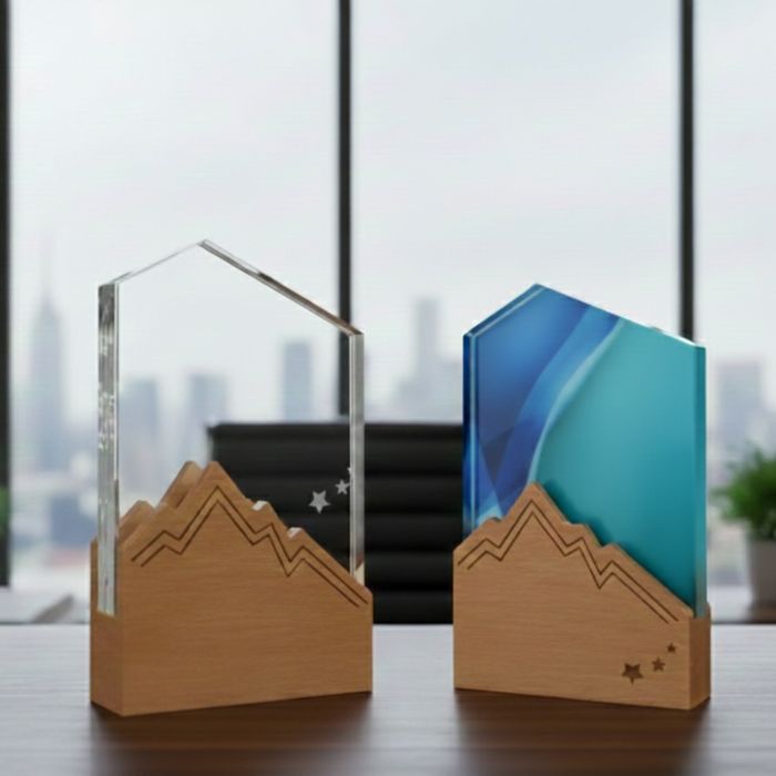 Premium Wooden Trophy Model - PT079